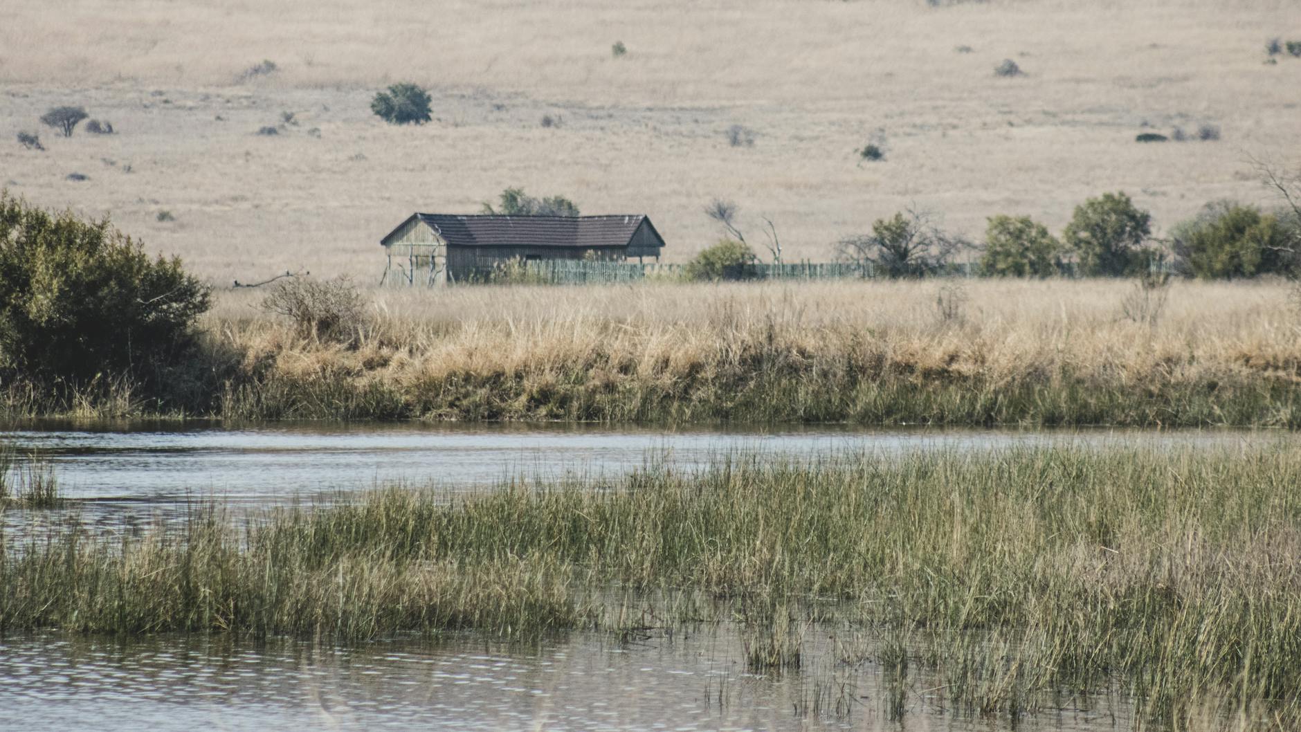 photo of a marsh with an abandoned house